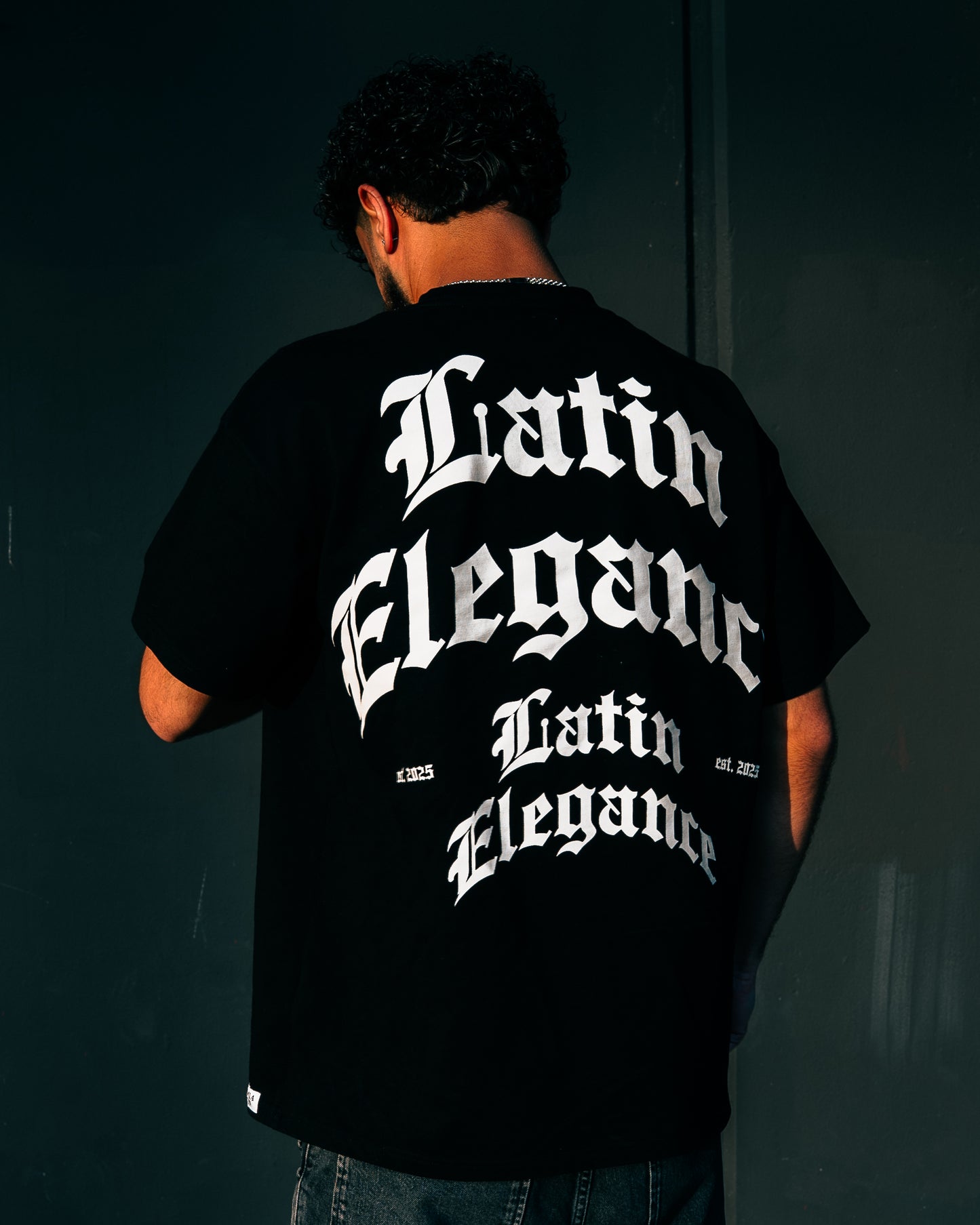 Latin Heavyweight Oversized T-Shirt